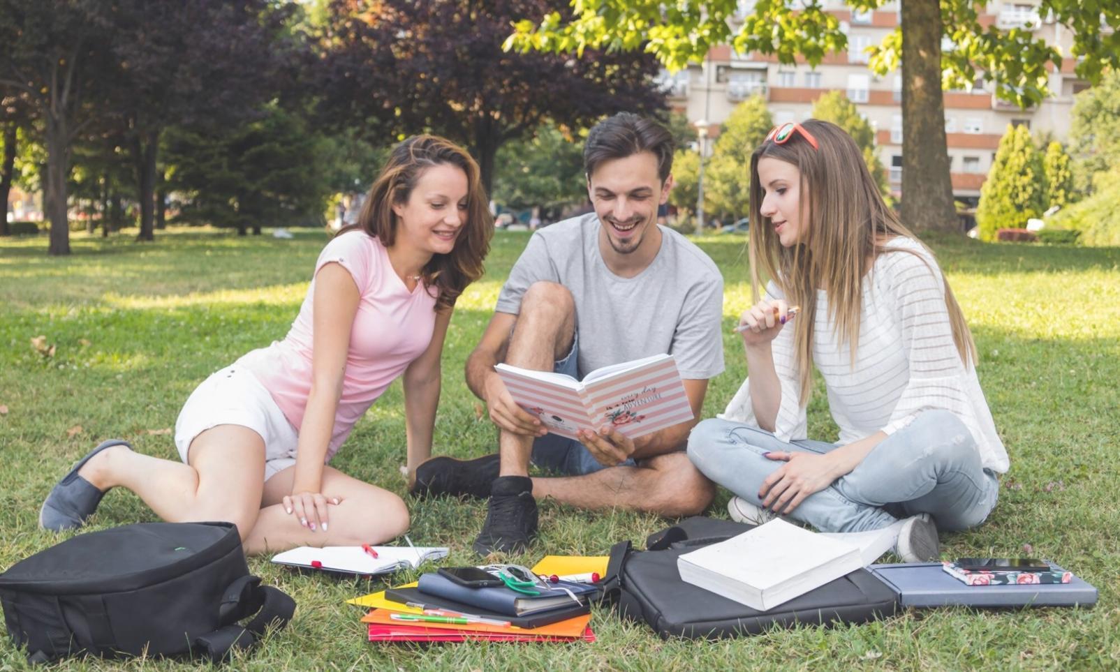 MongoDB development workspace with multiple monitors showing database schemas and code
